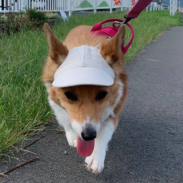 6aaebe36 3a7c 4a21 902e cc0dea34a681 1659484549855