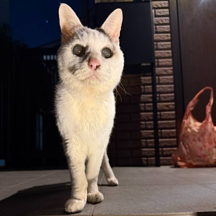 6aaee443 86c3 438b 8fa3 9880cc234ead 1769940167974