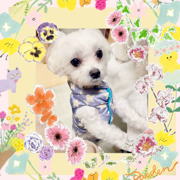 6aaee9c1 2014 4080 9720 9018692db43d 1615348021301