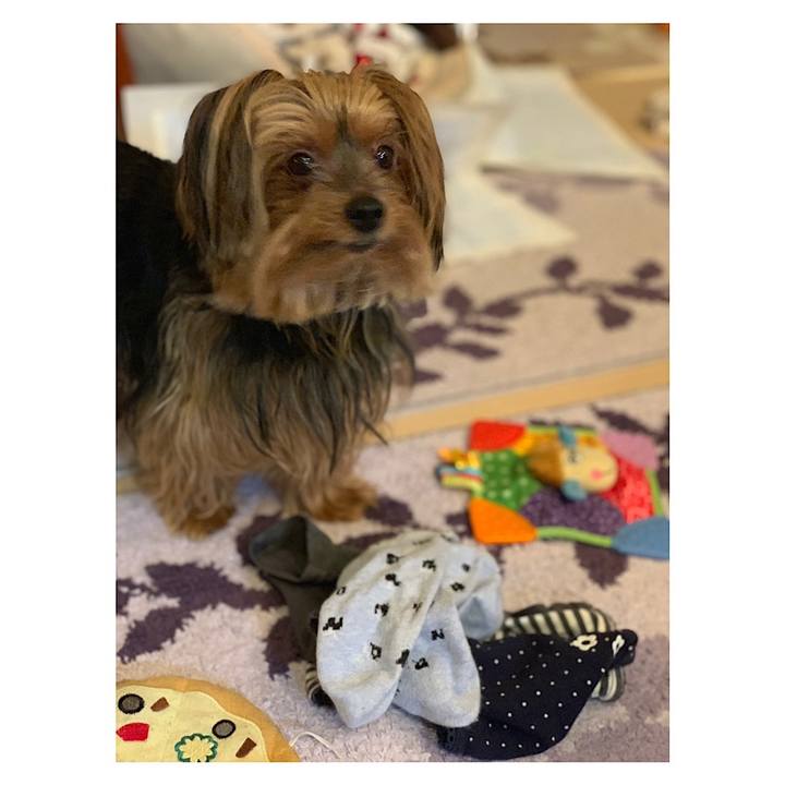 6aaf08c9 7a52 47fb 8a0b eb0bd4f9648a 1559824997862