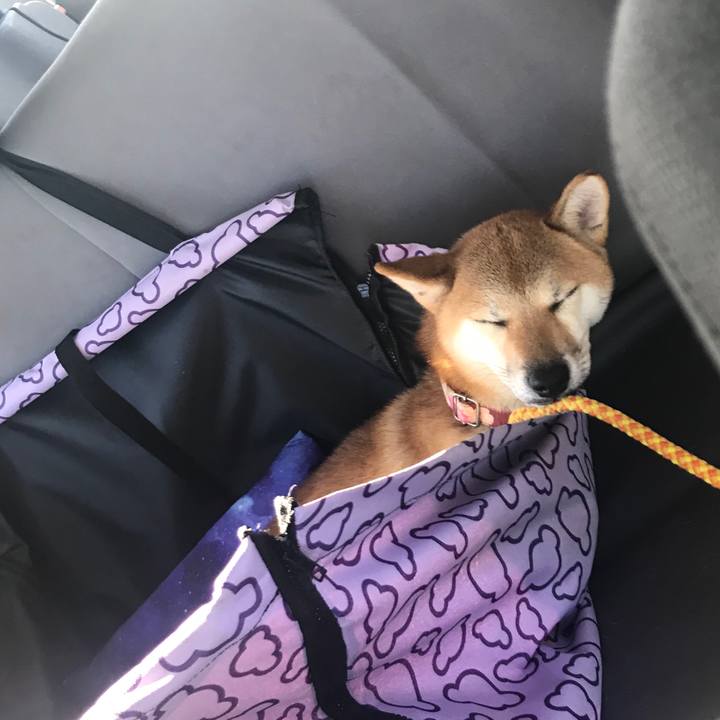 6aaf1999 feaa 4a7a bc56 97e3aa655de6 1540715329269