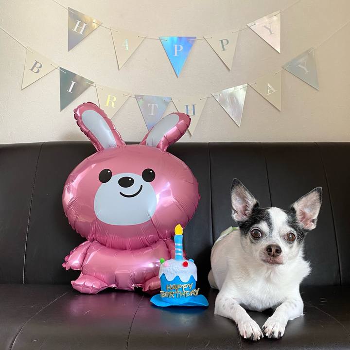 6aaf2586 339b 4bb4 8b07 4946ca18ba02 1689904418052