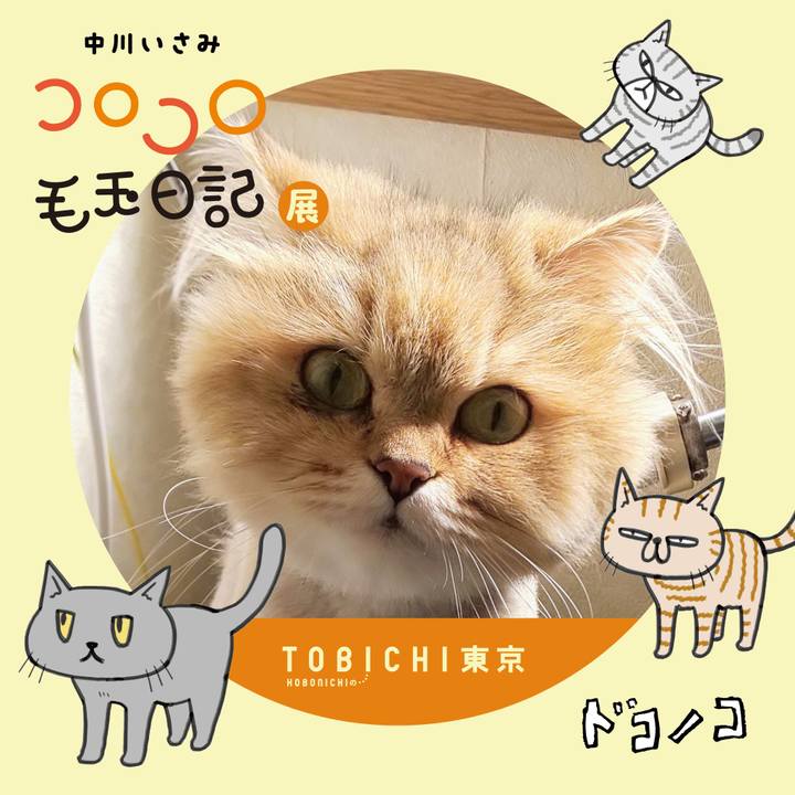 6aaf3f14 01cc 446e bd03 ec73f52a921d 1740228862306