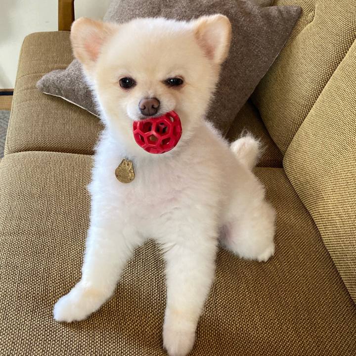 6aafd972 9064 4e48 b974 b47ccb56afc2 1632696421760