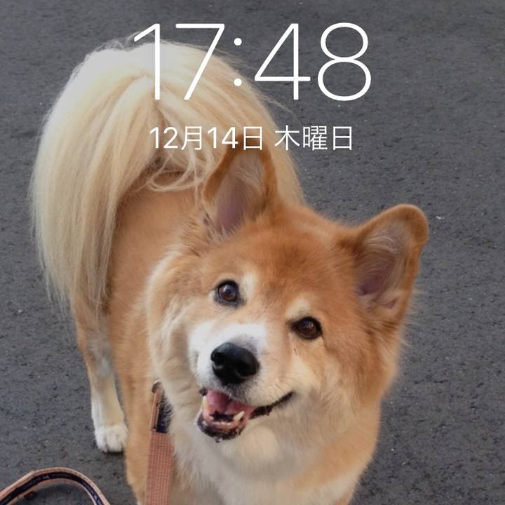 6aafe11d 1033 4cbd b8c7 5151ae7cf7b4 1513241523570