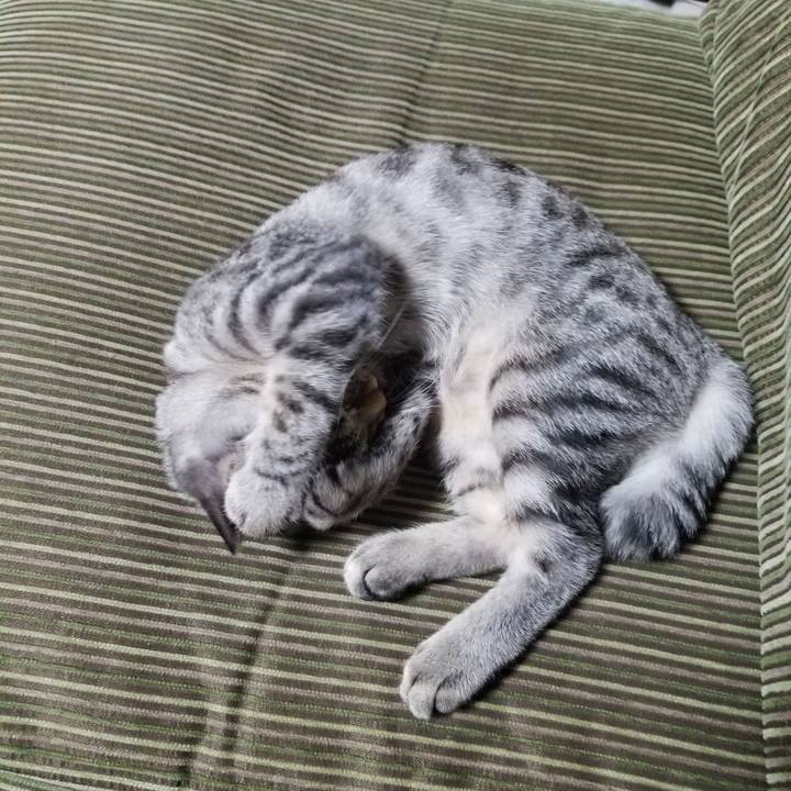 6ab02bb4 3f56 409c 90c5 e46a8e7edf1b 1668481399926