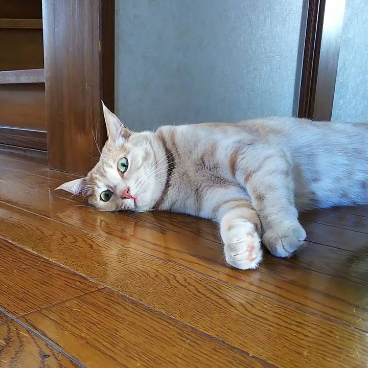 6ab03ec4 b2b7 4f45 837d cba781564836 1588058136164