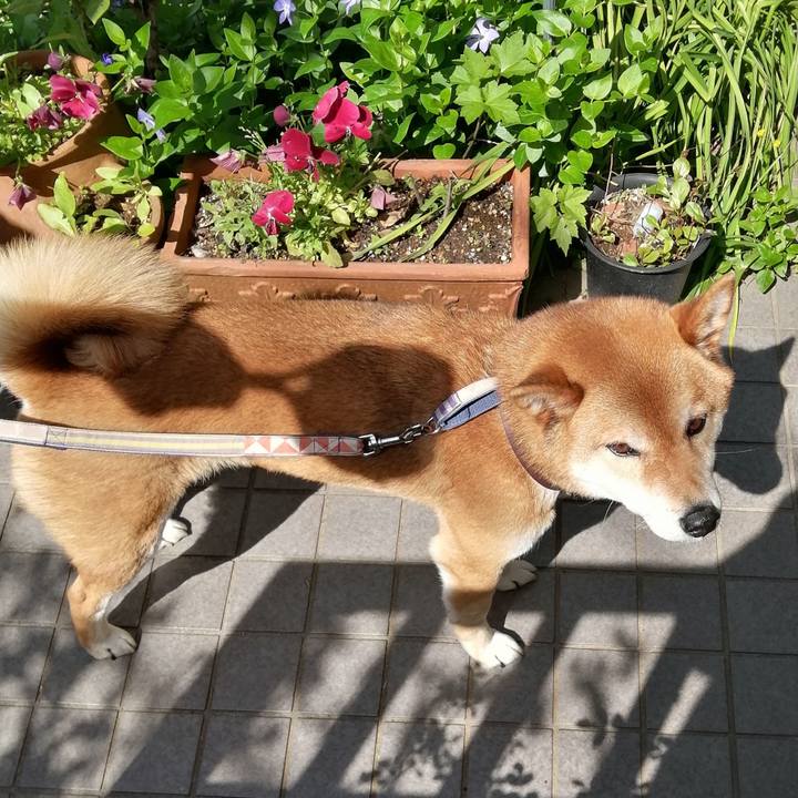 6ab0548c 8e6c 416e a942 c4b7719bb336 1587870916670