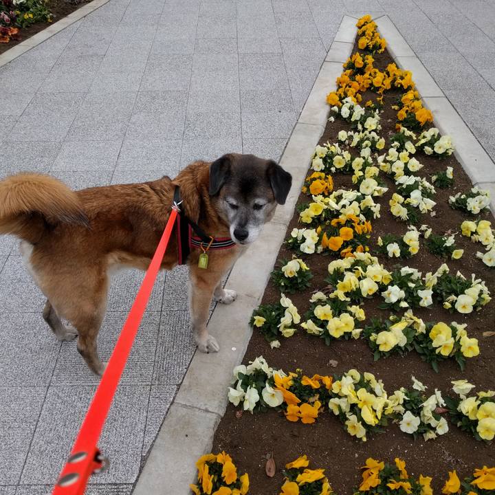 6ab0771e 8361 4ba7 9601 e0c4ef41f518 1553298395301