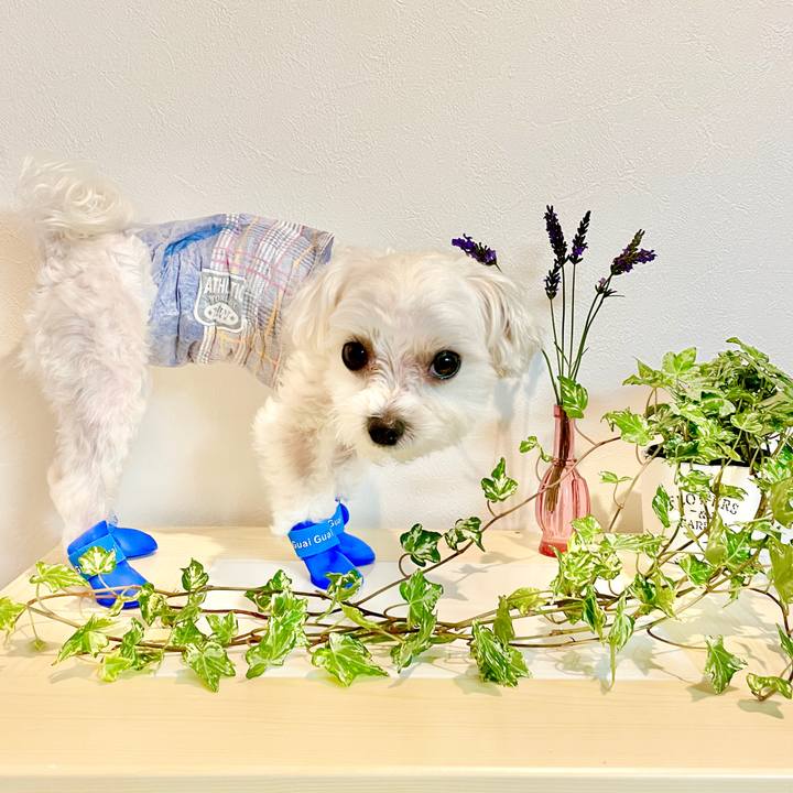 6ab07820 33b4 4aa9 9f15 03ac1772f333 1624851563222