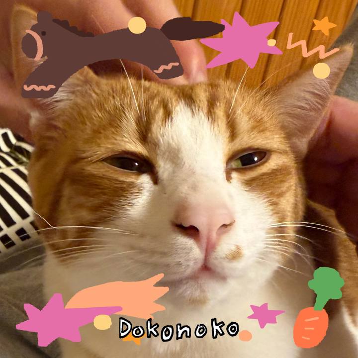 6ab0914d 1976 4edf baee b0e4d33b051a 1771984615126