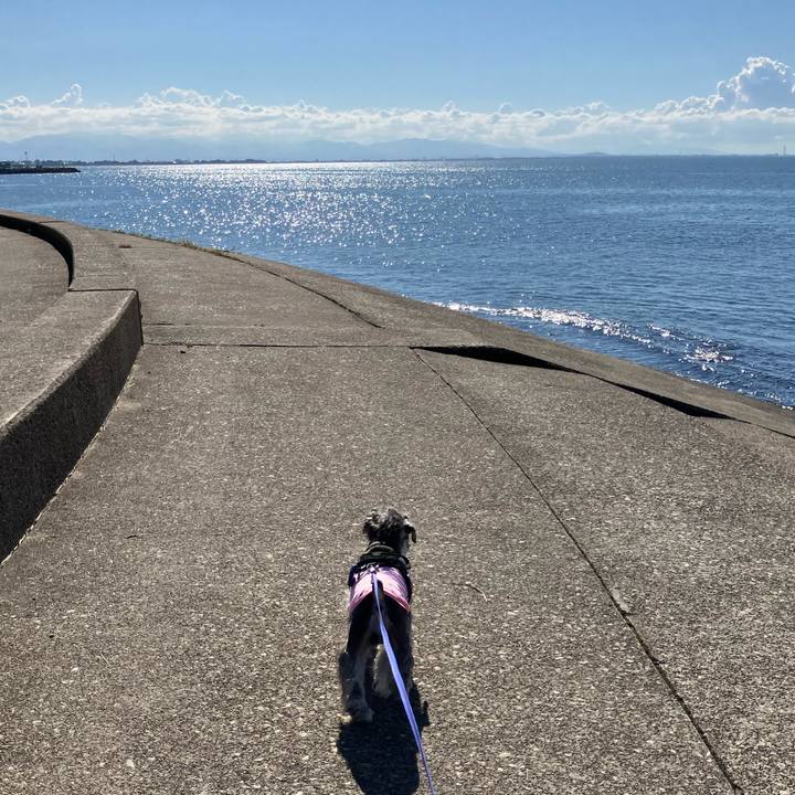 6ab09b2a 4389 494c bc53 d24eb7143d2d 1729000578288