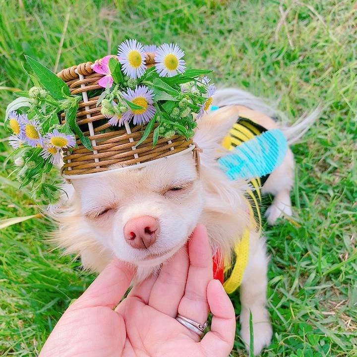 6ab09eac 11c5 4cc5 a6bd 221d1aef236b 1621945862085