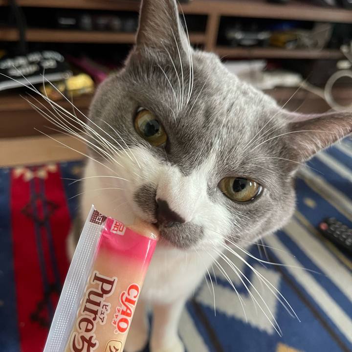 6ab0b5fc b747 4cdf a81f 93113dad647d 1663223176027