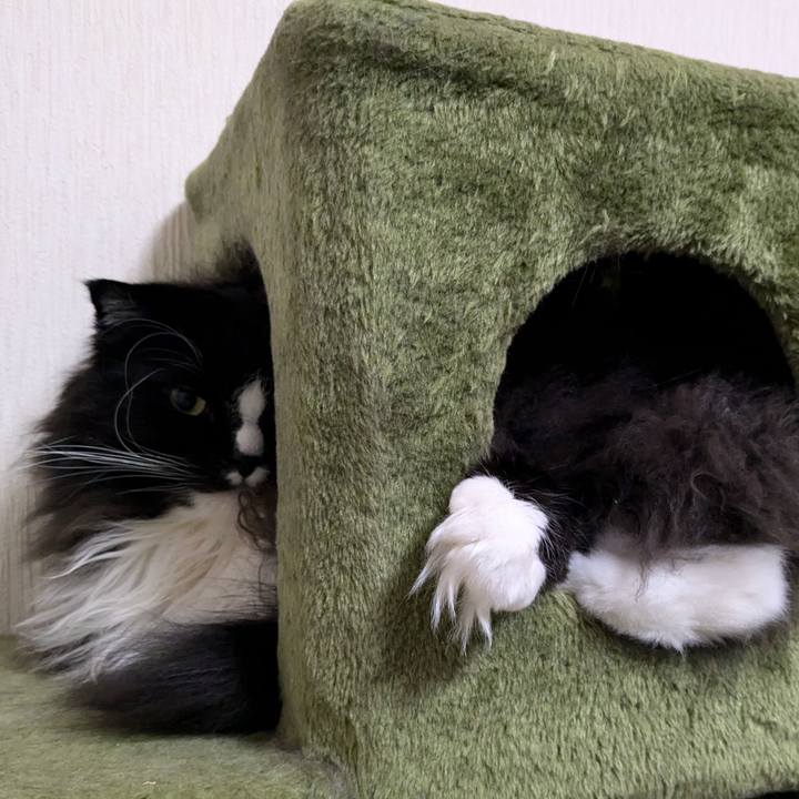 6ab0b9ed 7ed5 4080 9fba 02c482082eb8 1732411590866