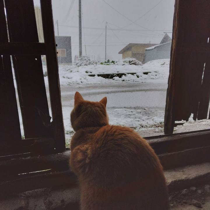 6ab10511 d139 424a bf7b 192bfc3fccdc 1671000598916