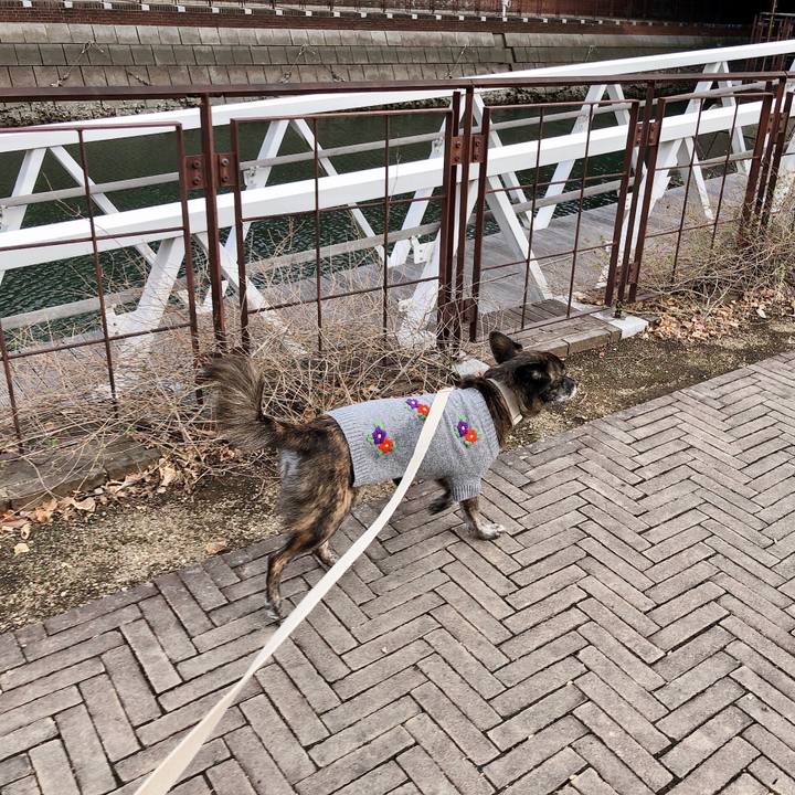 6ab13718 834f 48a1 ae53 359538e96e12 1573457721743