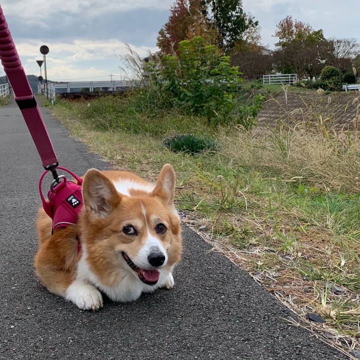 6ab13ae6 0db4 467c 8a79 41378b4bd37f 1700019455910