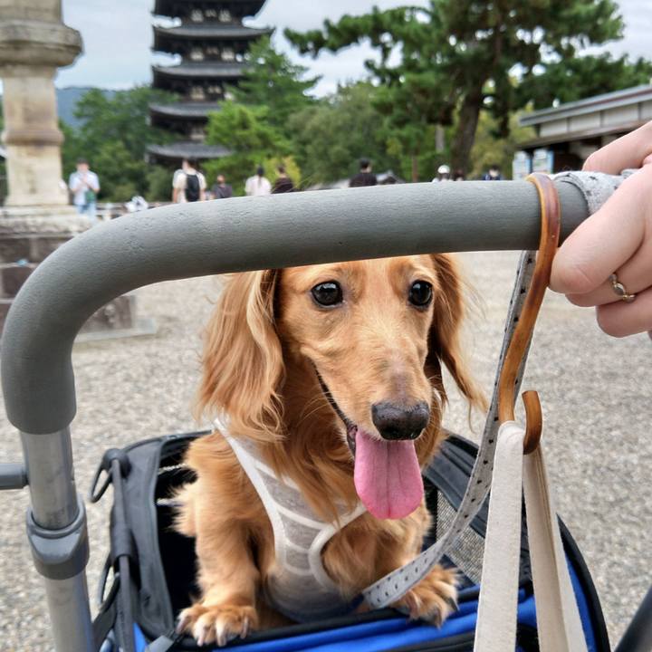 6ab13e39 1309 44da ac5b 90af101bf799 1632141114891