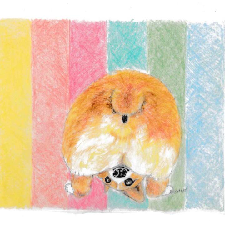 6ab1597b f0d4 45f5 8214 3f94b4732c15 1570116339183