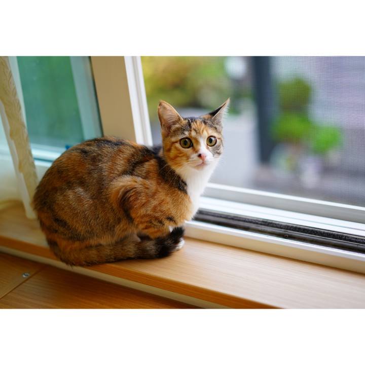 6ab16a6e 252b 4db8 bc2a 8a6d1bed201b 1575450062200