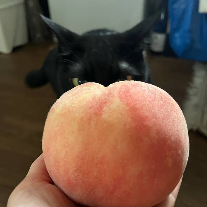 6ab174c4 a914 43ea bca1 871f2704355d 1724195285522