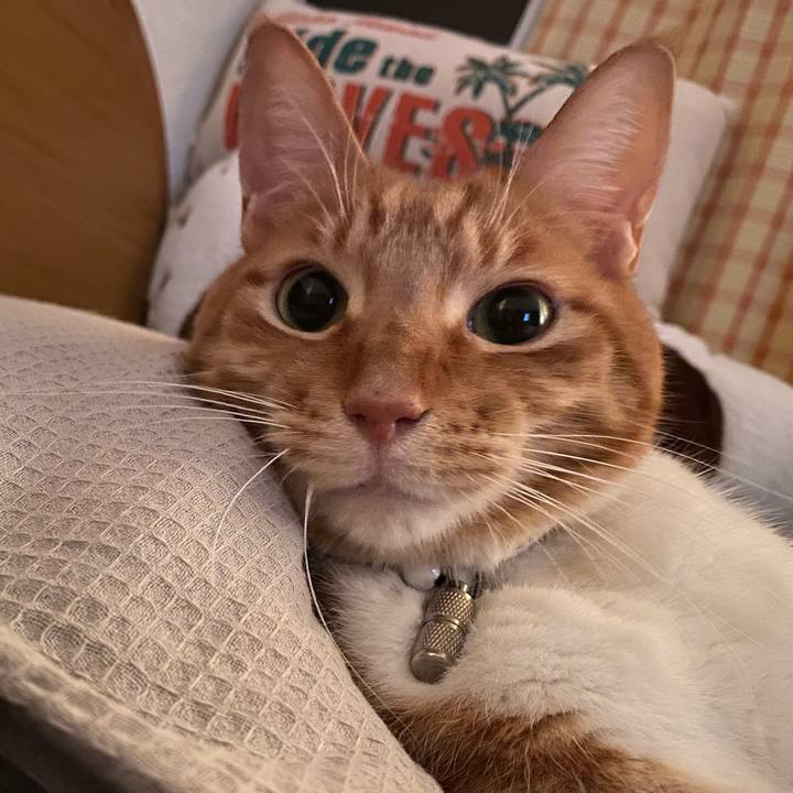 6ab17a9b 02e5 4eea 8301 6249fe77c5db 1655549851860