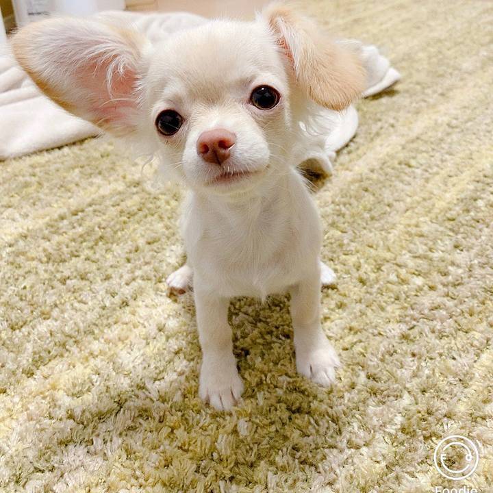 6ab1ab61 ce6d 4751 8168 ea85082dc010 1592607114775