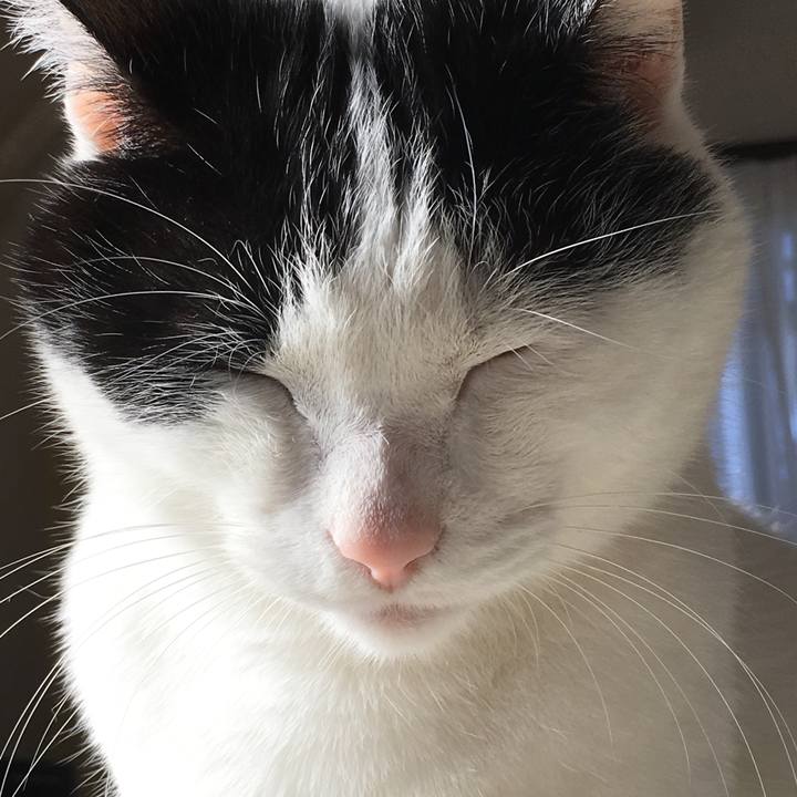 6ab1ebea d3bd 4e62 9116 2664e0fdf5bd 1578552734487