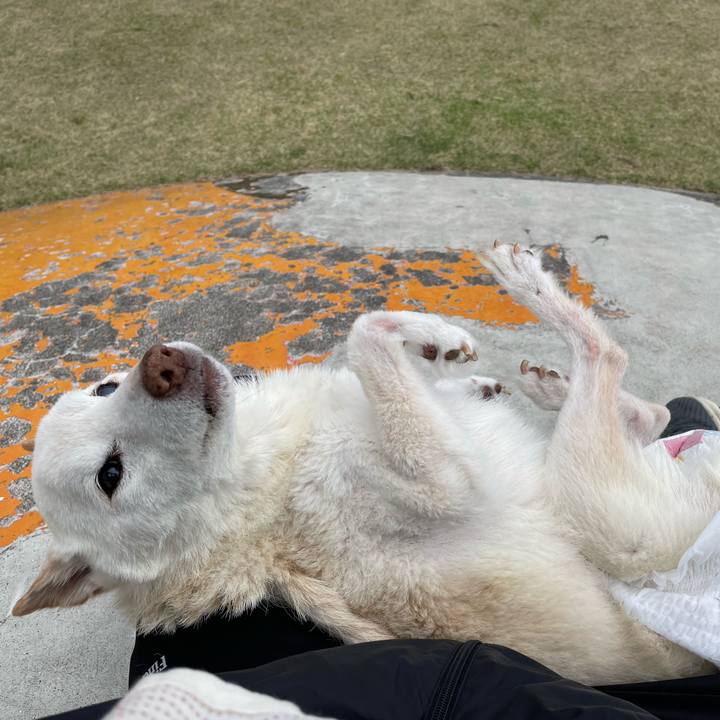 6ab254b5 48a9 48e1 a31c 3aa597889e55 1679469582358