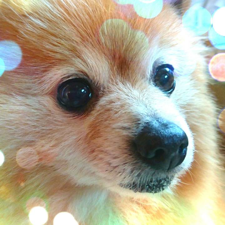 6ab25dac 78ea 42f0 adca 1ac2d3eb8a89 1527893557939