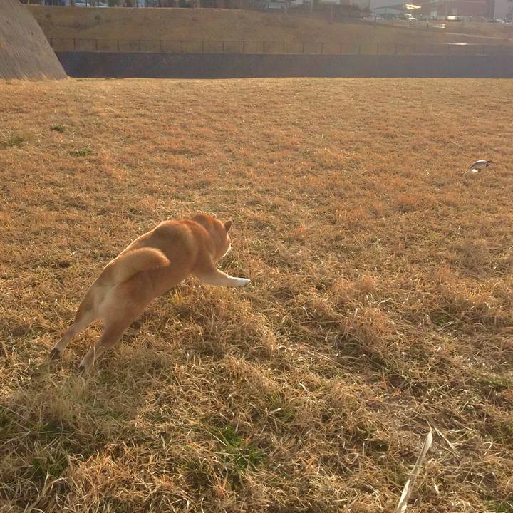 6ab272b0 194d 45d8 9539 aeed8e670d00 1550378496437