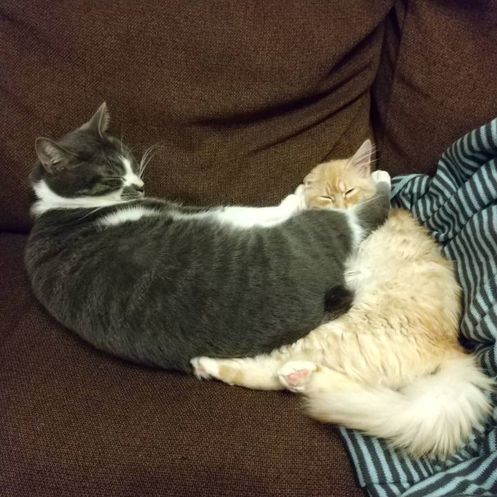 6ab282ec a130 446f a0d5 047aac3a7e34 1608126002005