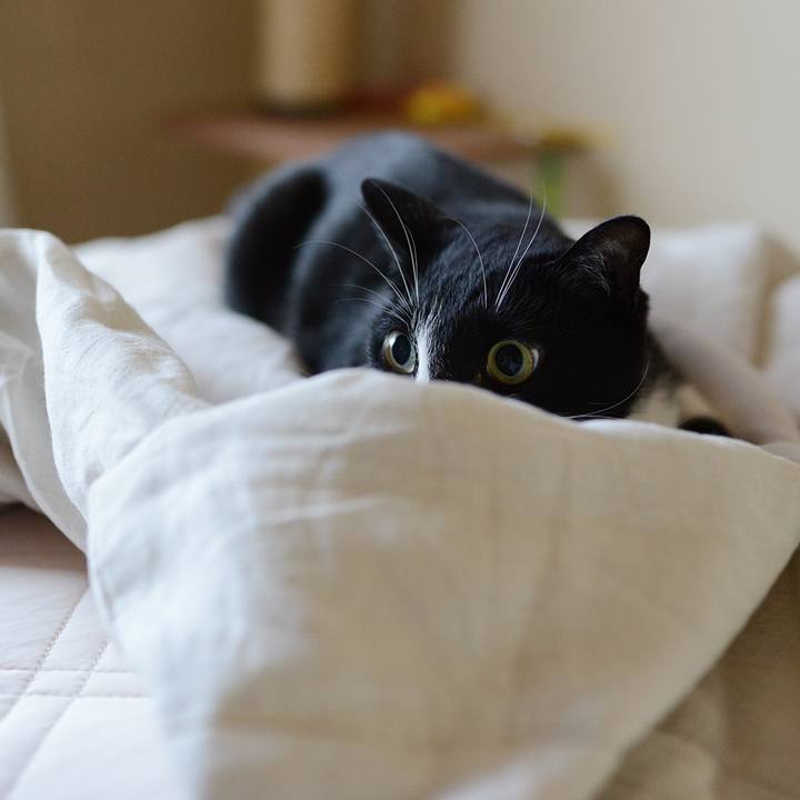 6ab2bb5a 3063 49df 9053 1ff164fdb44c 1532231238594