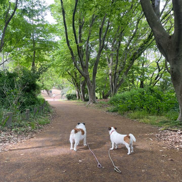 6ab2c65e 664d 484d a524 8afa18c63a9c 1714952435595