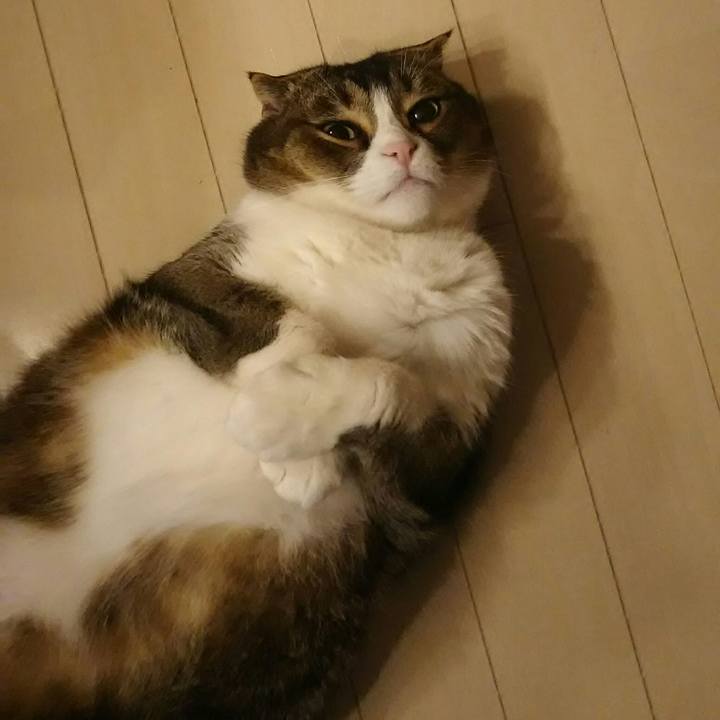 6ab2d0f6 4284 492c a83f 58a52fe8b0c2 1551999665849