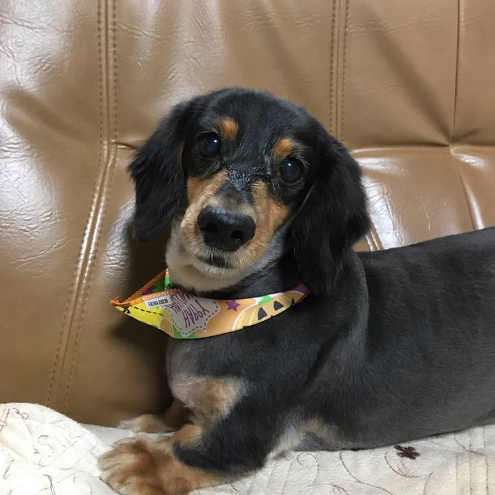 6ab2f389 2c42 4a8e 9dff 58fa6b899361 1540331254290