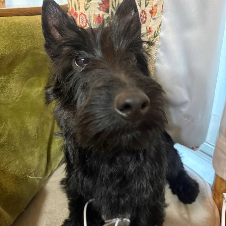 6ab2fb3f 7020 4bc4 a92b 5d8e3bb5a256 1773475492205