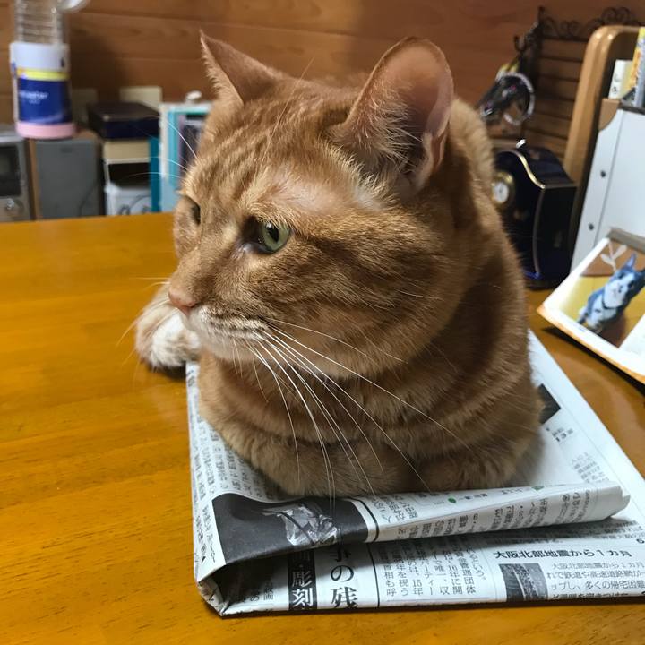 6ab3278a e414 4a14 a15c d70aea58f70b 1531884273932