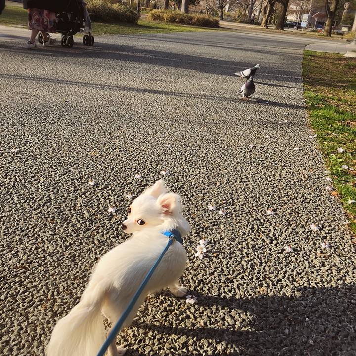 6ab3395f bf93 4a47 a565 c2ce89c42bf9 1523207933171