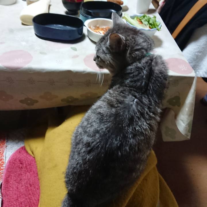 6ab34646 43de 478d a33a bee3318584c9 1572395459584