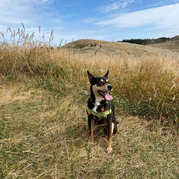 6ab3a1ad 7367 4569 87f5 a51d61671e66 1603865130007