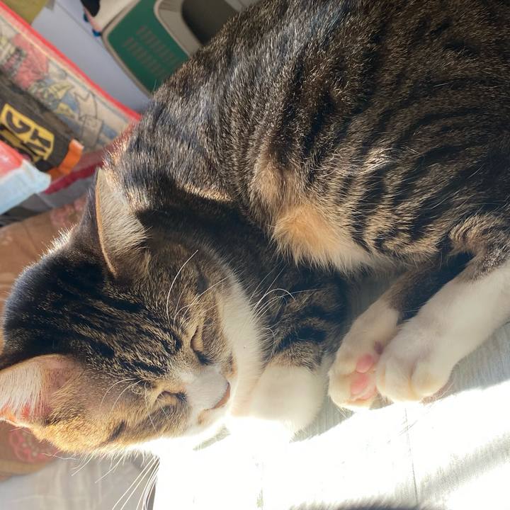 6ab3a4e1 aa80 4788 af81 350f9b88503f 1639966062098