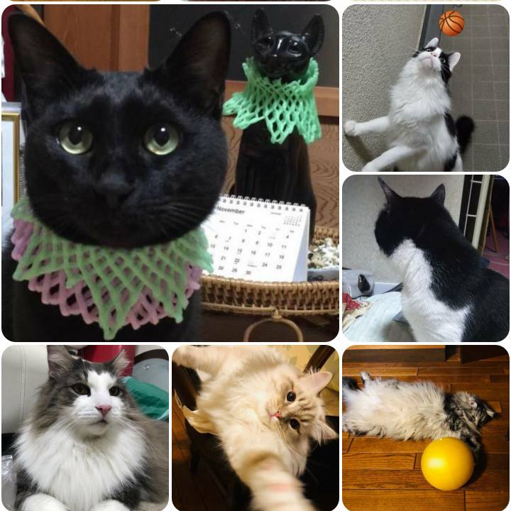 6ab3c357 a927 4a93 a26c a9e2c9f024b2 1561067762649