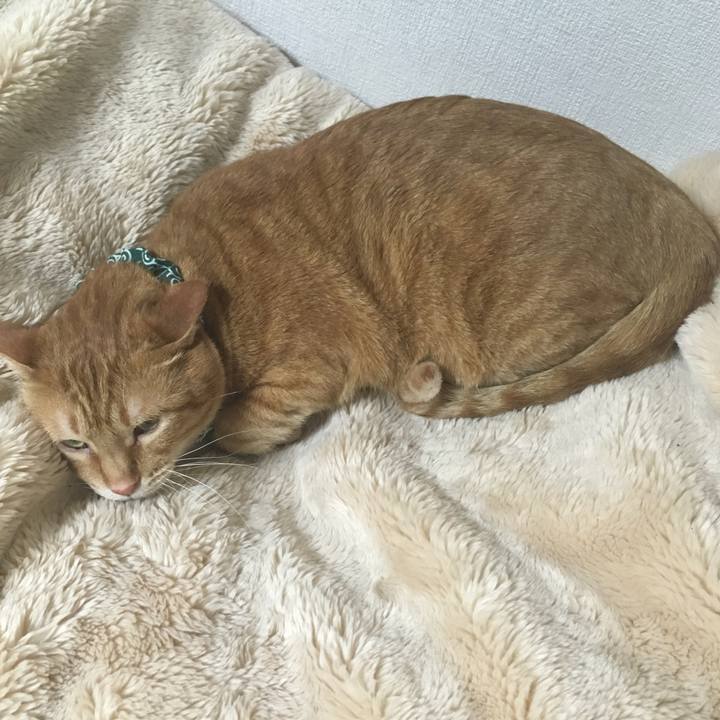 6ab3eec5 a3ad 40fd ae40 bb37c786cf7e 1549102004183