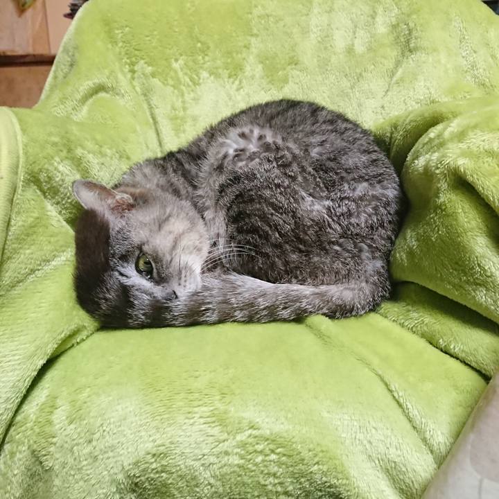 6ab3fee9 5b60 4087 822d 83fad0cff9d0 1587811787598