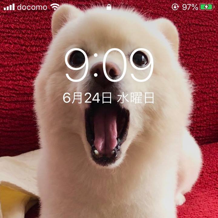 6ab4005e 4895 4f55 ab69 c9bfdffcc94a 1592957376053