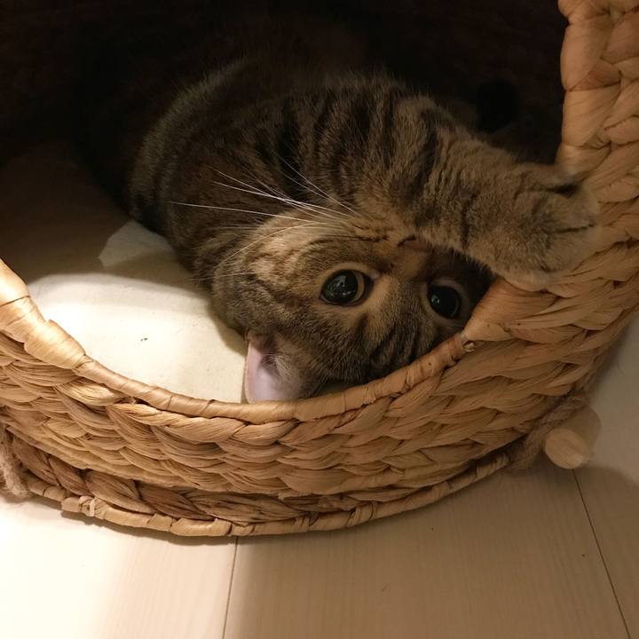 6ab4009b 6d70 4de1 8b9f 39015874f515 1528037141364