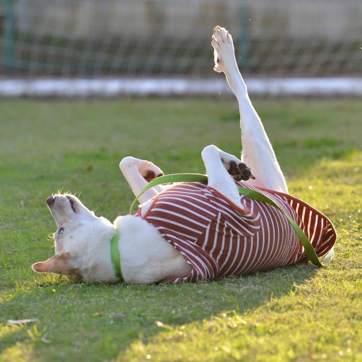 6ab417c2 8f45 47e6 ba1f 223f94d5dd52 1509099793017