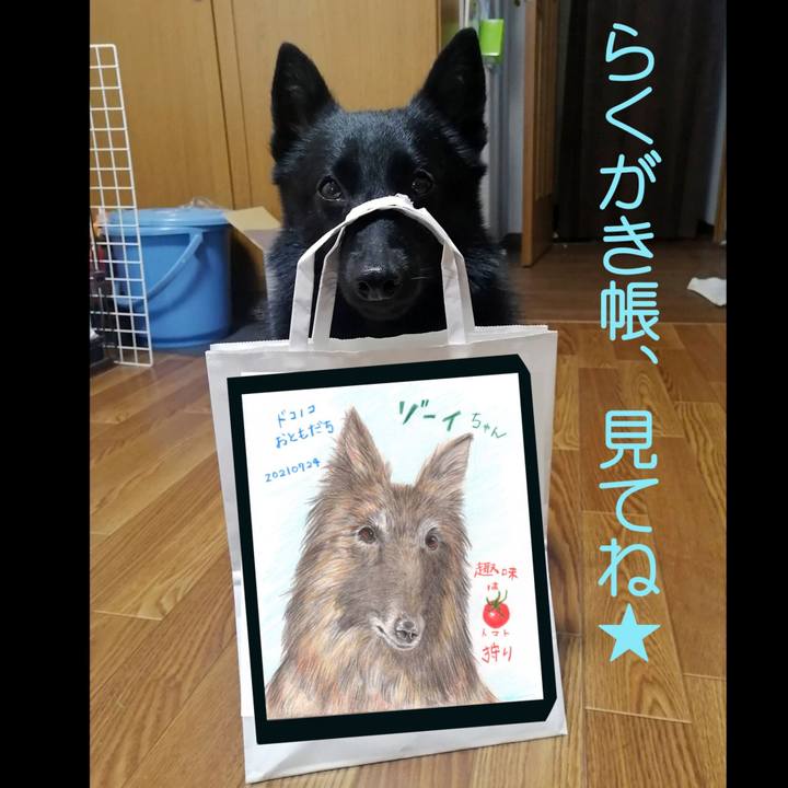 6ab43bb9 a63e 48ca 82cc 18ab072ddb41 1627111696102